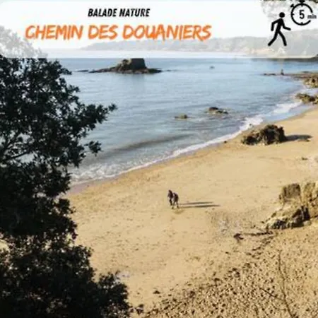 Albatros * Saint-Nazaire (Loire-Atlantique)