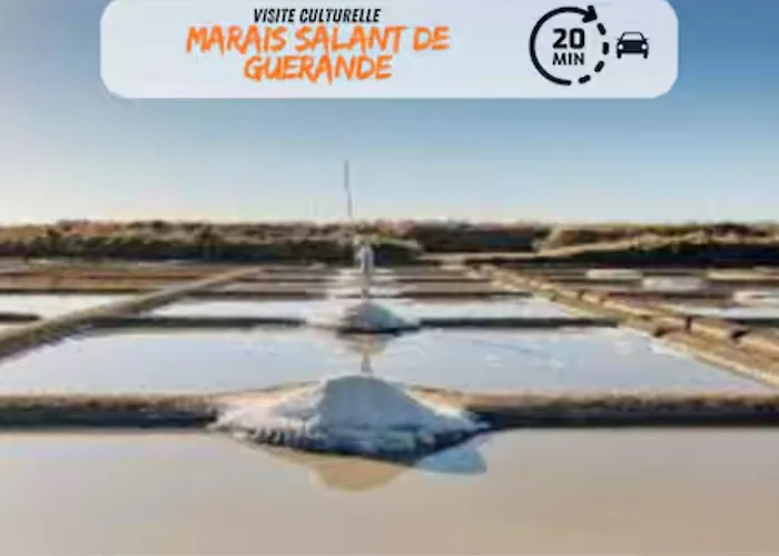 Albatros * Saint-Nazaire (Loire-Atlantique)